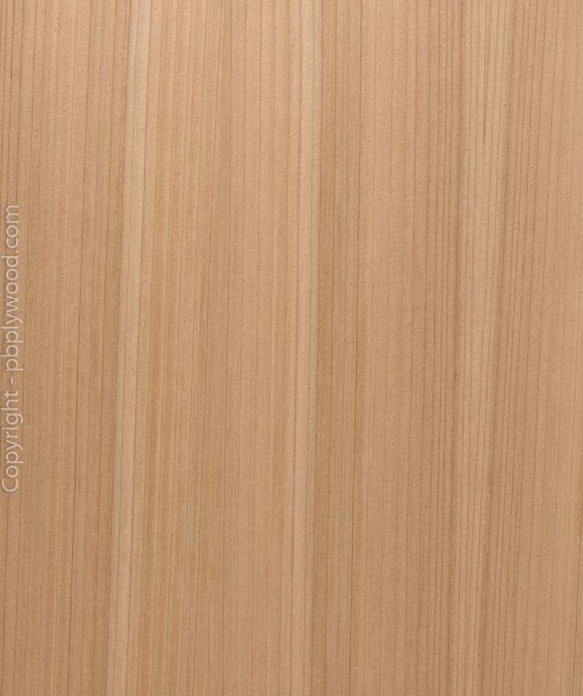Western Red Cedar Veneered Birch Plywood - Peter Benson Plywood Ltd